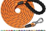 Hundeleine 30M Nylon mit Sicherheitskarabiner gepolsterter