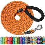 Hundeleine 30M Nylon mit Sicherheitskarabiner gepolsterter
