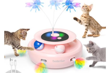 Katzenspielzeug Interaktiv 3 in 1 mit