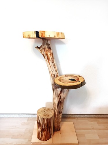 Katzenbaum Kratzbaum Baumstamm Natur Holz Ulme