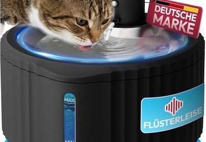 Katzen