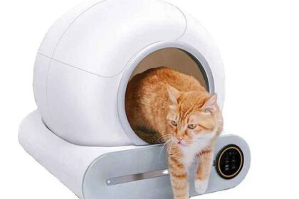 Smarte Selbstreinigende Katzentoilette Automatisch App Steuerung