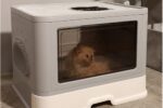 Katzentoilette mit Haube Klappe Katzenklo XXL