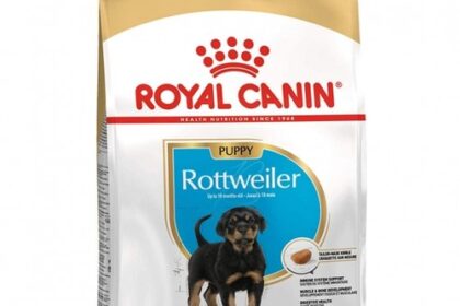 Pet Care Blog