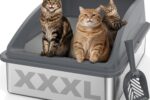 Katzenklo Edelstahl XXL große Katzen offene