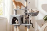 Katzen Kratzbaum Plattform Kätzchen Schlafen Spielen