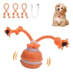 Interaktives Hundespielzeug Ball mit Elektrik, 3