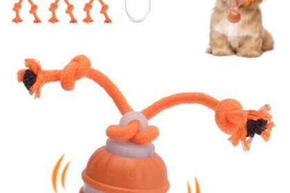 Interaktives Hundespielzeug Ball mit Elektrik, 3