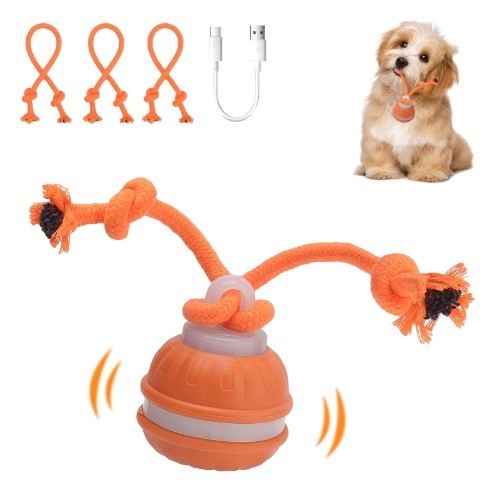 Interaktives Hundespielzeug Ball mit Elektrik, 3