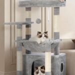 Kratzbaum mit Katzenkorb Katzenkratzbaum mit Katzenbett