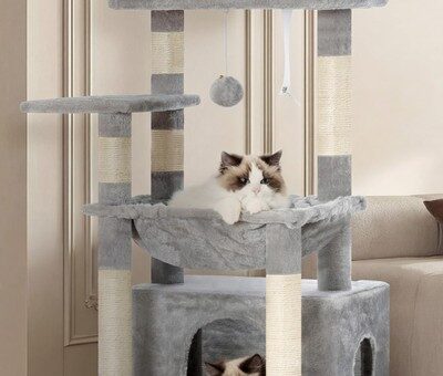 Kratzbaum mit Katzenkorb Katzenkratzbaum mit Katzenbett