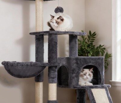 Kratzbaum mit Katzenbürste Katzenbaum für Hauskatzen