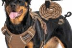 Haapaw Heavy Duty Taktisches Hundegeschirr für