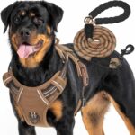 Haapaw Heavy Duty Taktisches Hundegeschirr für